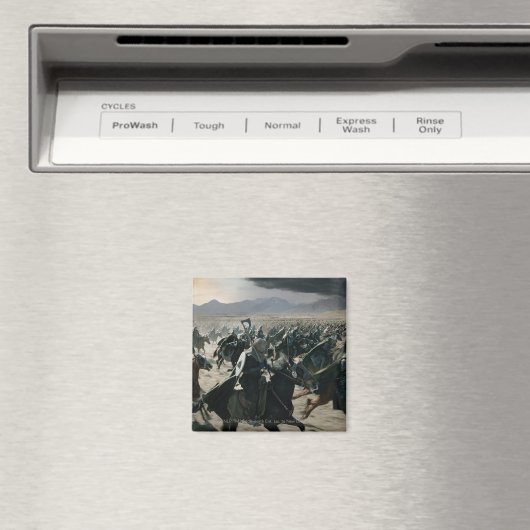 Leger van Rohan Magneet (Insitu (Vaatwasser))