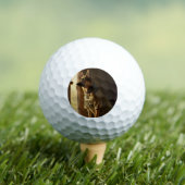 Legerhond golfbal - speciaal cadeau golfballen (Insitu Shirt)