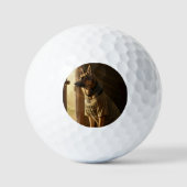 Legerhond golfbal - speciaal cadeau golfballen (Voorkant)