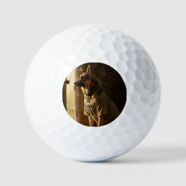 Legerhond golfbal - speciaal cadeau golfballen