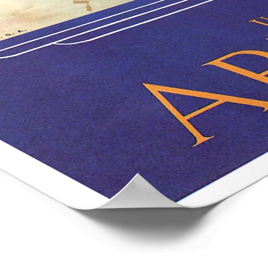 Legerluchtmacht Poster (Hoek)