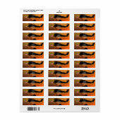 legerparkwachters namen retouradres labels (Full Sheet)