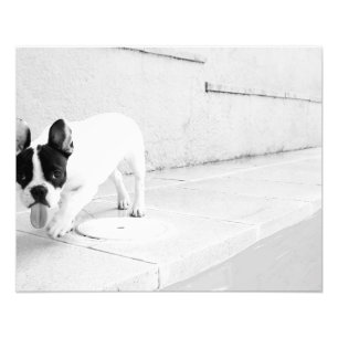 Legertong Foto Afdruk