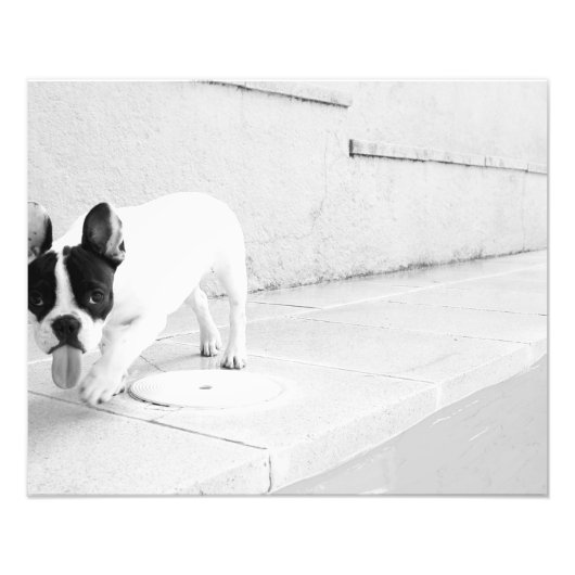 Legertong Foto Afdruk (Voorkant)