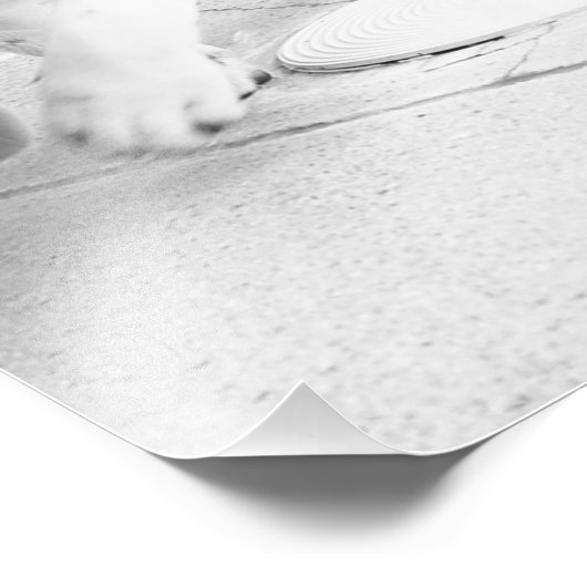 Legertong Foto Afdruk (Hoek)