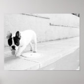 Legertong Poster (Voorkant)