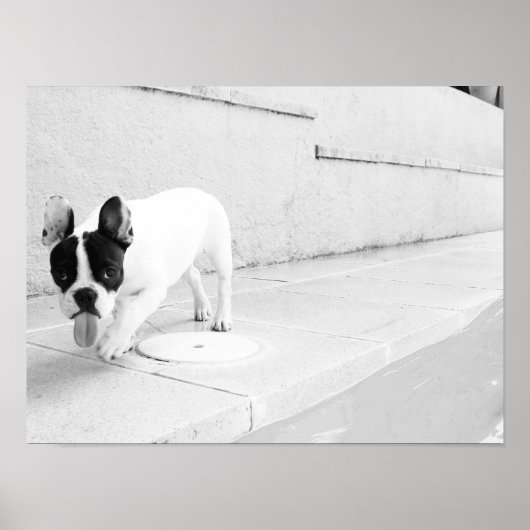 Legertong Poster (Voorkant)