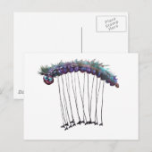 Legerworm Briefkaart (Voorkant / Achterkant)