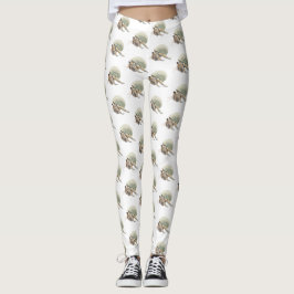 Legging of heremietkreeft of panty