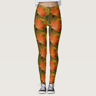 Leggings in de herfst Leaf