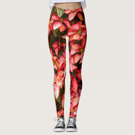Leggings kerstbloem Poinsettia