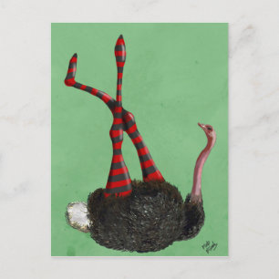 Leggings met struisgraaf briefkaart