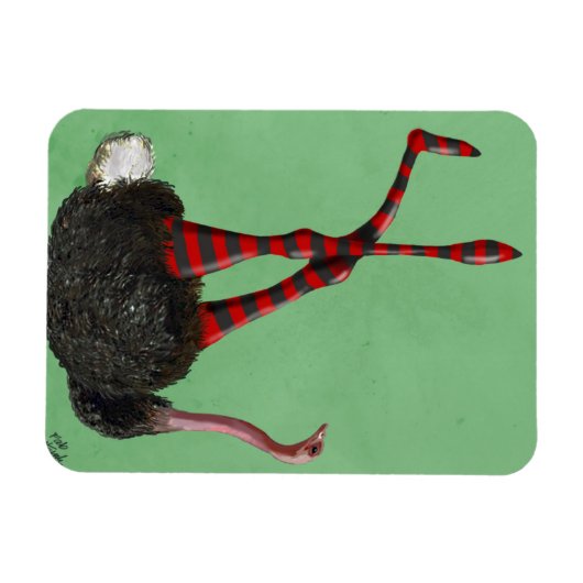 Leggings met struisgraaf magneet (Horizontaal)