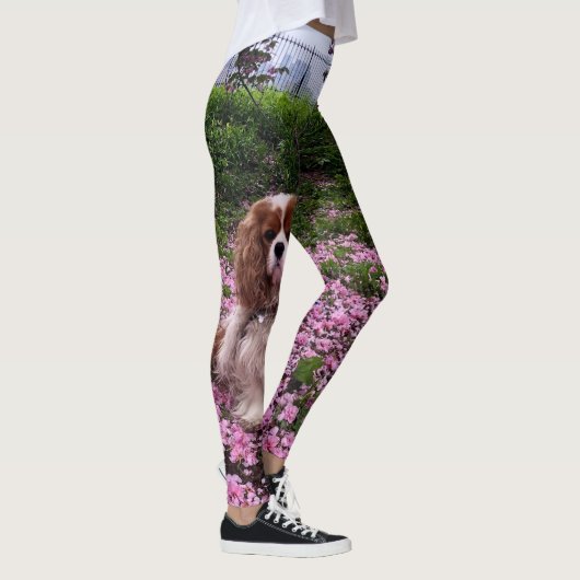 Leggings van Blenheim Cavalier King Charles Spanie (Rechts)