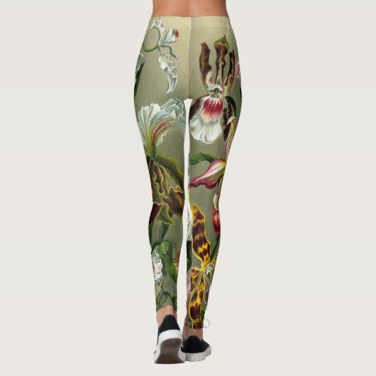 Leggings van Ernst Haeckel Orchidaceae (Achterkant)