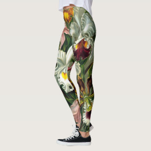 Leggings van Ernst Haeckel Orchidaceae