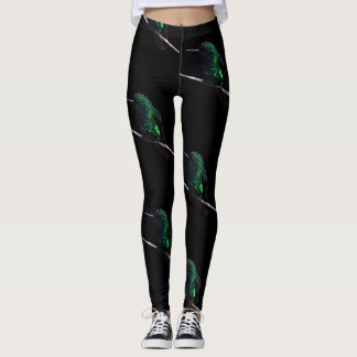 Leggings voor het houden van vliegende vogels