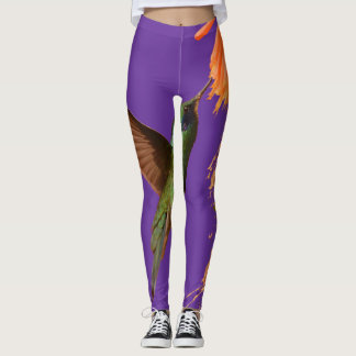 Leggings voor het houden van vliegende vogels