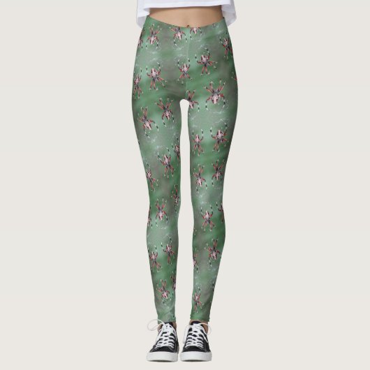 Leggings voor orbwever (Voorkant)