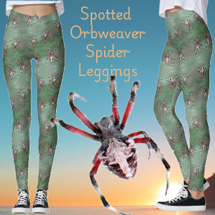 Leggings voor orbwever