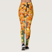 Leggings voor zaaizaad (Achterkant)