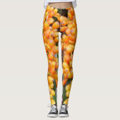 Leggings voor zaaizaad (Voorkant)