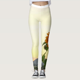 leggings voor zonnebloemen