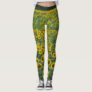 leggings voor zonnebloemen