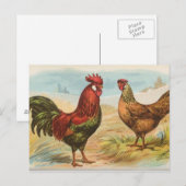 Leghorens Briefkaart (Voorkant / Achterkant)