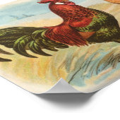 Leghorens Poster (Hoek)