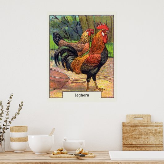 Leghorn Chicken Poster (Keuken)
