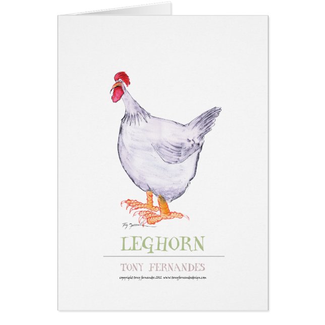 LEGHORN HEN, tony fernandes (Voorkant)