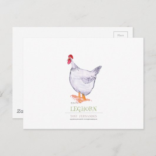 LEGHORN HEN, Tony Fernandes Briefkaart (Voorkant / Achterkant)