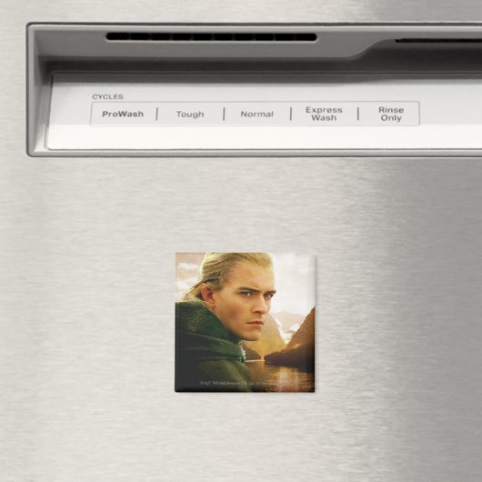 LEGOLAS GREENLEAF™ 3/4 profiel Magneet (Insitu (Vaatwasser))