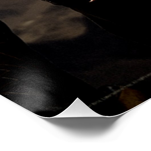 LEGOLAS GREENLEAF™ Character Poster 2 (Hoek)