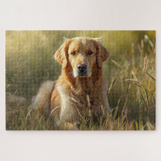 Legpuzzel Gouden Retriever (Horizontaal)