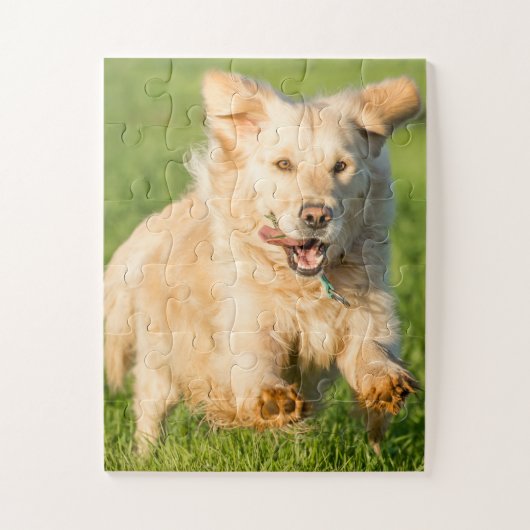 Legpuzzel met Goudse Retriever (Verticaal)