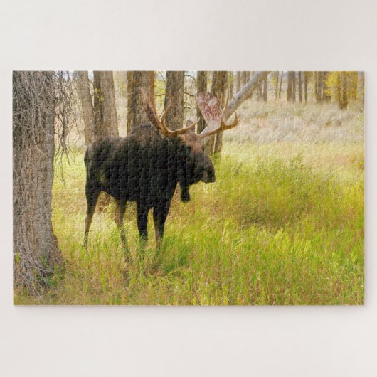 Legpuzzel van een Eland (Horizontaal)