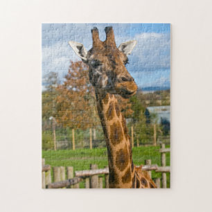 Legpuzzel van een giraffe