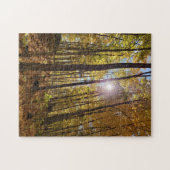Legpuzzel - zonneschijn door Herfst Bossen (Horizontaal)