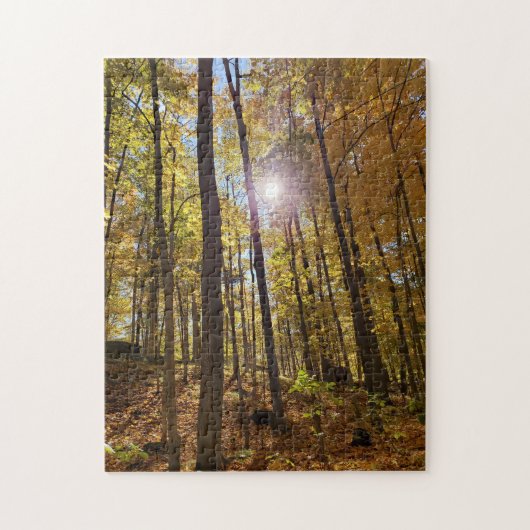 Legpuzzel - zonneschijn door Herfst Bossen (Verticaal)