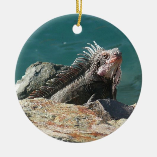 Leguaan bij St. Thomas Keramisch Ornament (Voorkant)