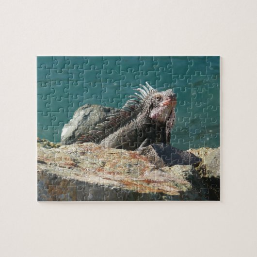 Leguaan bij St. Thomas Legpuzzel (Horizontaal)