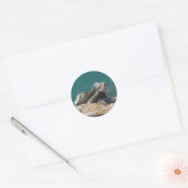 Leguaan bij St. Thomas Ronde Sticker (Envelop)