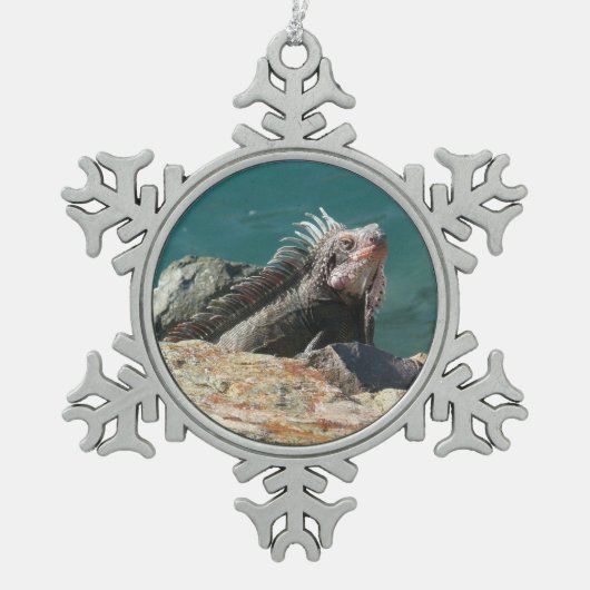 Leguaan bij St. Thomas Tin Sneeuwvlok Ornament (Voorkant)