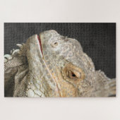leguaan legpuzzel (Horizontaal)