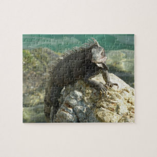 Leguaan op de rotsen bij St. Thomas Legpuzzel
