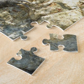 Leguaan op de rotsen bij St. Thomas Legpuzzel (Zijkant)