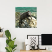 Leguaan op de rotsen bij St. Thomas Poster (Thuiskantoor)