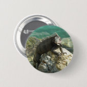 Leguaan op de rotsen bij St. Thomas Ronde Button 5,7 Cm (Voorkant /achterkant)